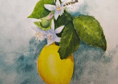 Lemon 111 VERKOCHT