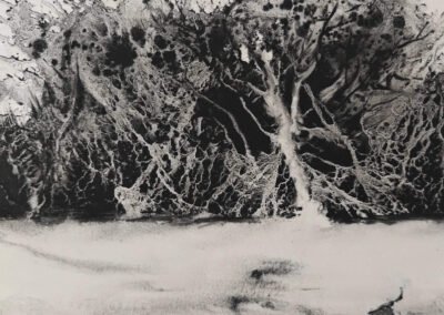 Mangrove 031 - 35,5 x 25,5 cm - € 75
