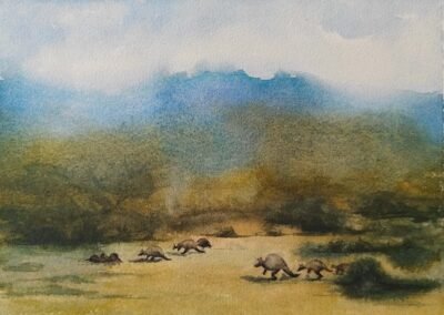 Mountain 158 - 35 x 25 cm - € 75